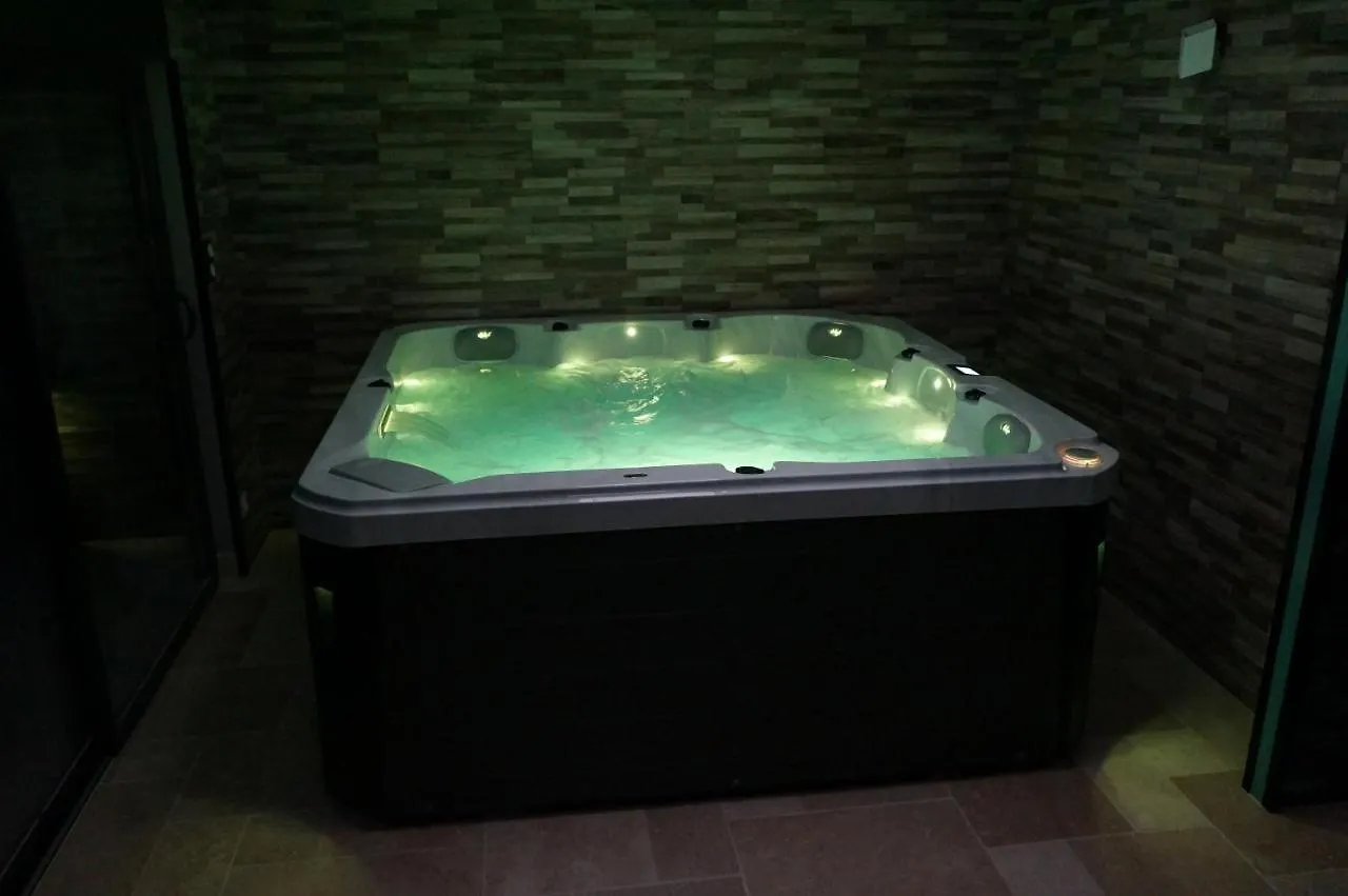 Domaine Du Moulin A Vent - Gite & Spa Saint-Florent-sur-Cher Holiday home