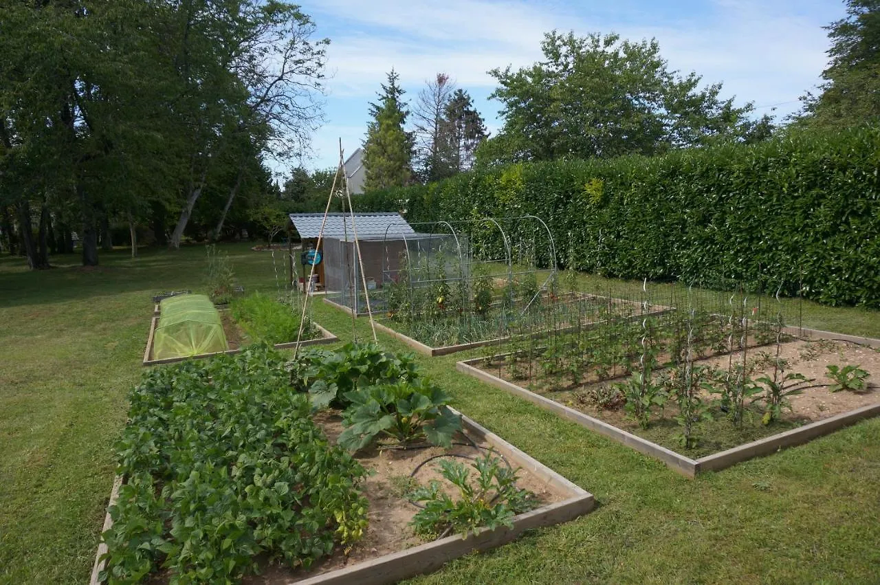 Domaine Du Moulin A Vent - Gite & Spa Saint-Florent-sur-Cher Holiday home